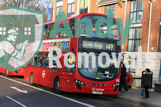 Andy Removal Seven Sisters (N15)